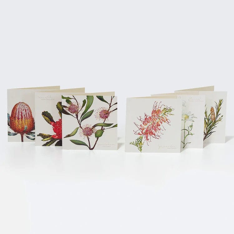 Australian 'Bush Gems' Boxed Cards