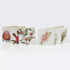 Australian 'Bush Gems' Boxed Cards