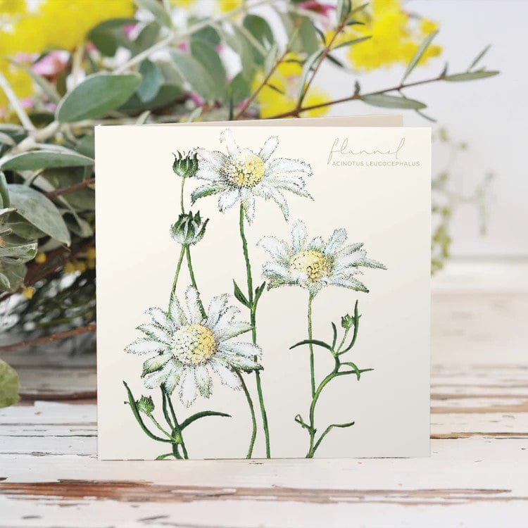 Australian 'Bush Gems' Boxed Cards