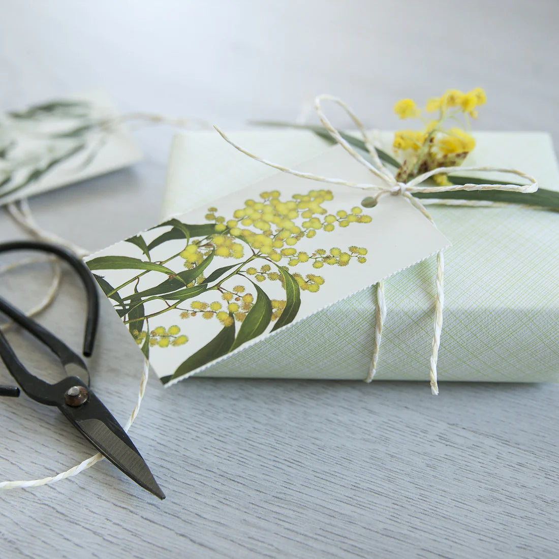 Australian Floral Emblems Gift-Tag Wallet