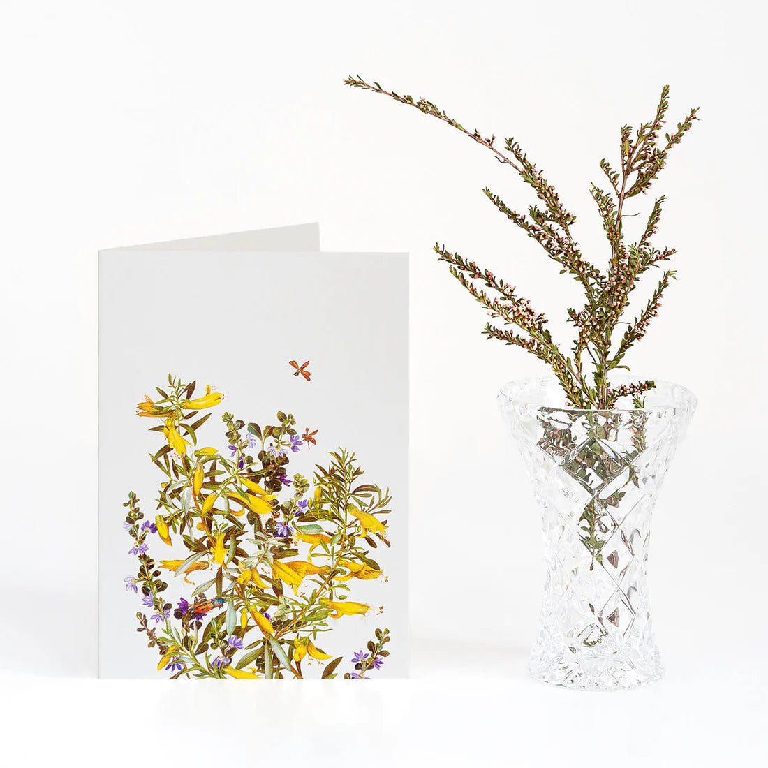 Australian "Woodlands" Boxed Card Set