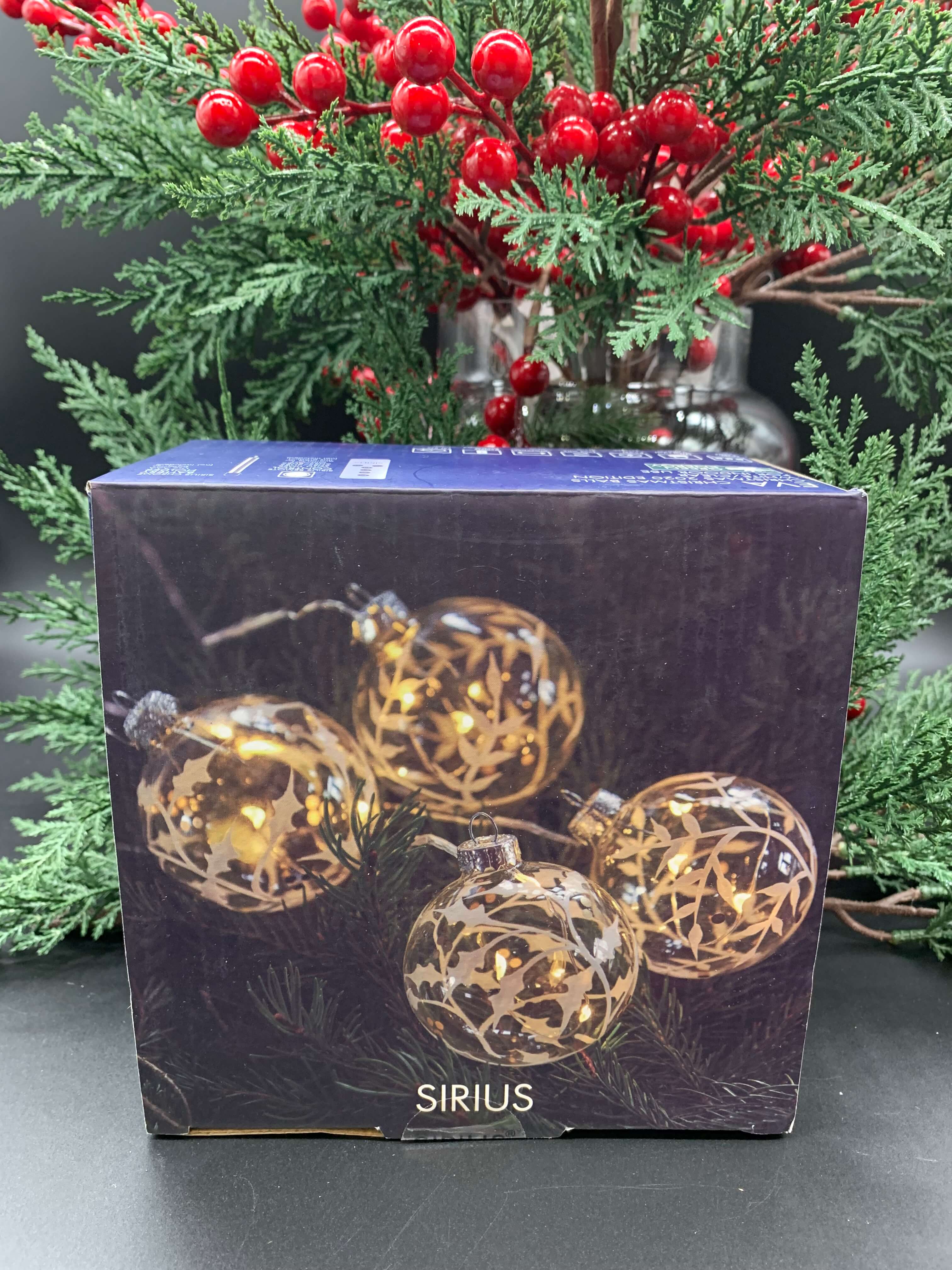 Eva Christmas Lights Set of 4