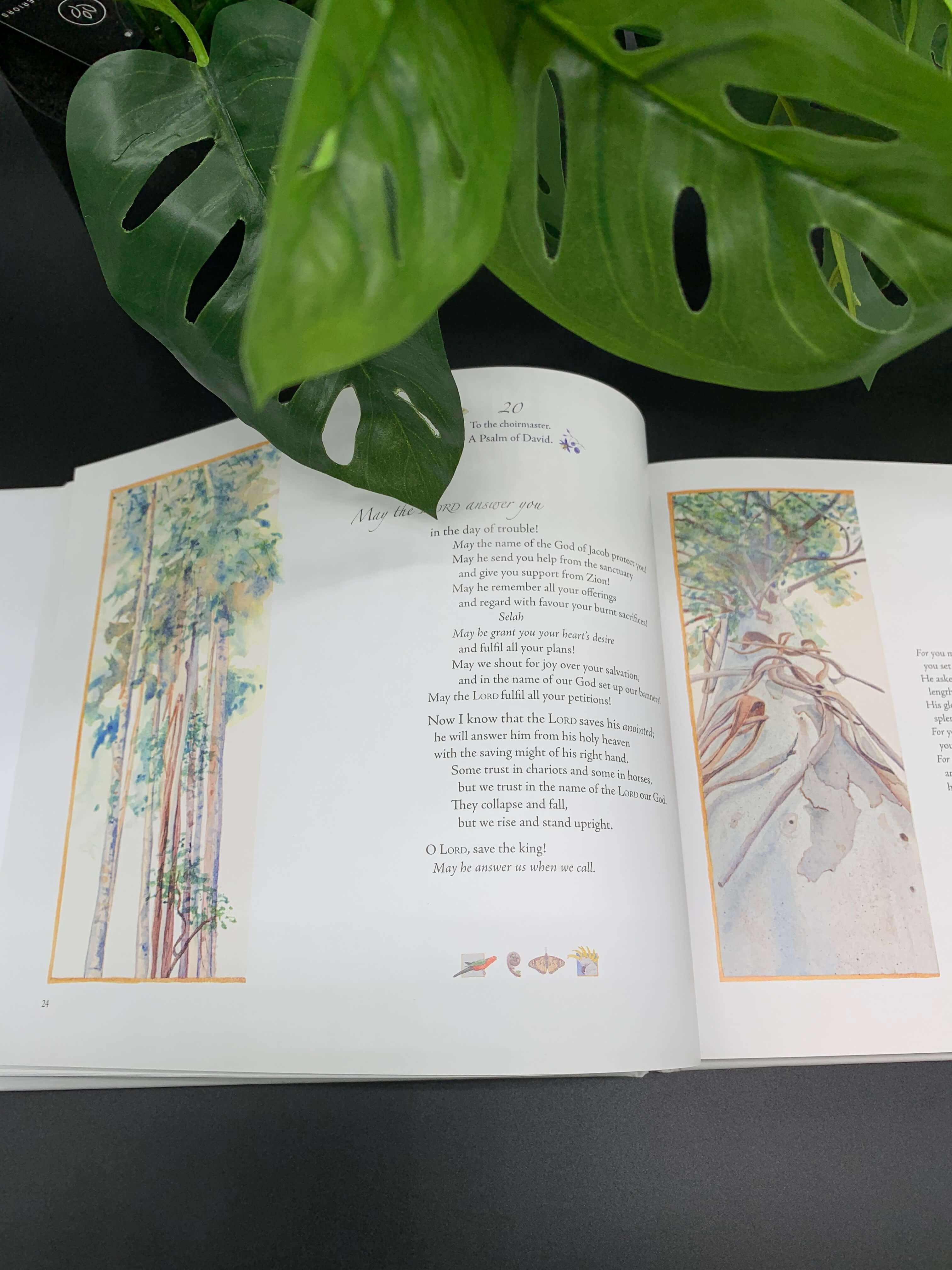 The Book of Psalms Illuminated