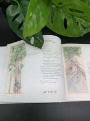 The Book of Psalms Illuminated
