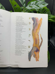 The Scrolls Illuminated Book