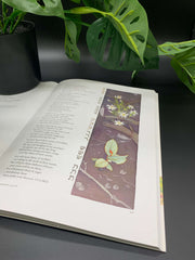 The Scrolls Illuminated Book
