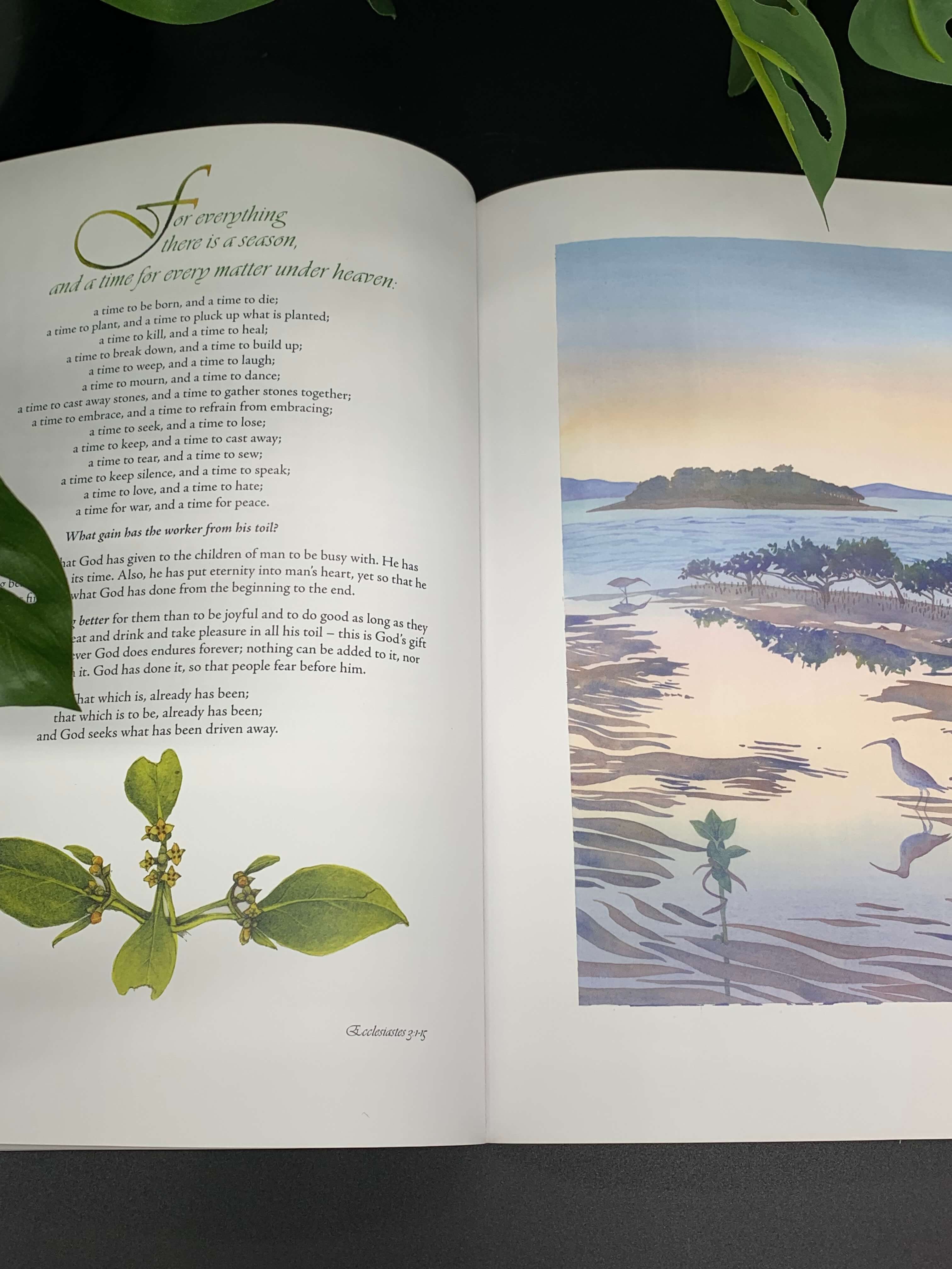 The Scrolls Illuminated Book