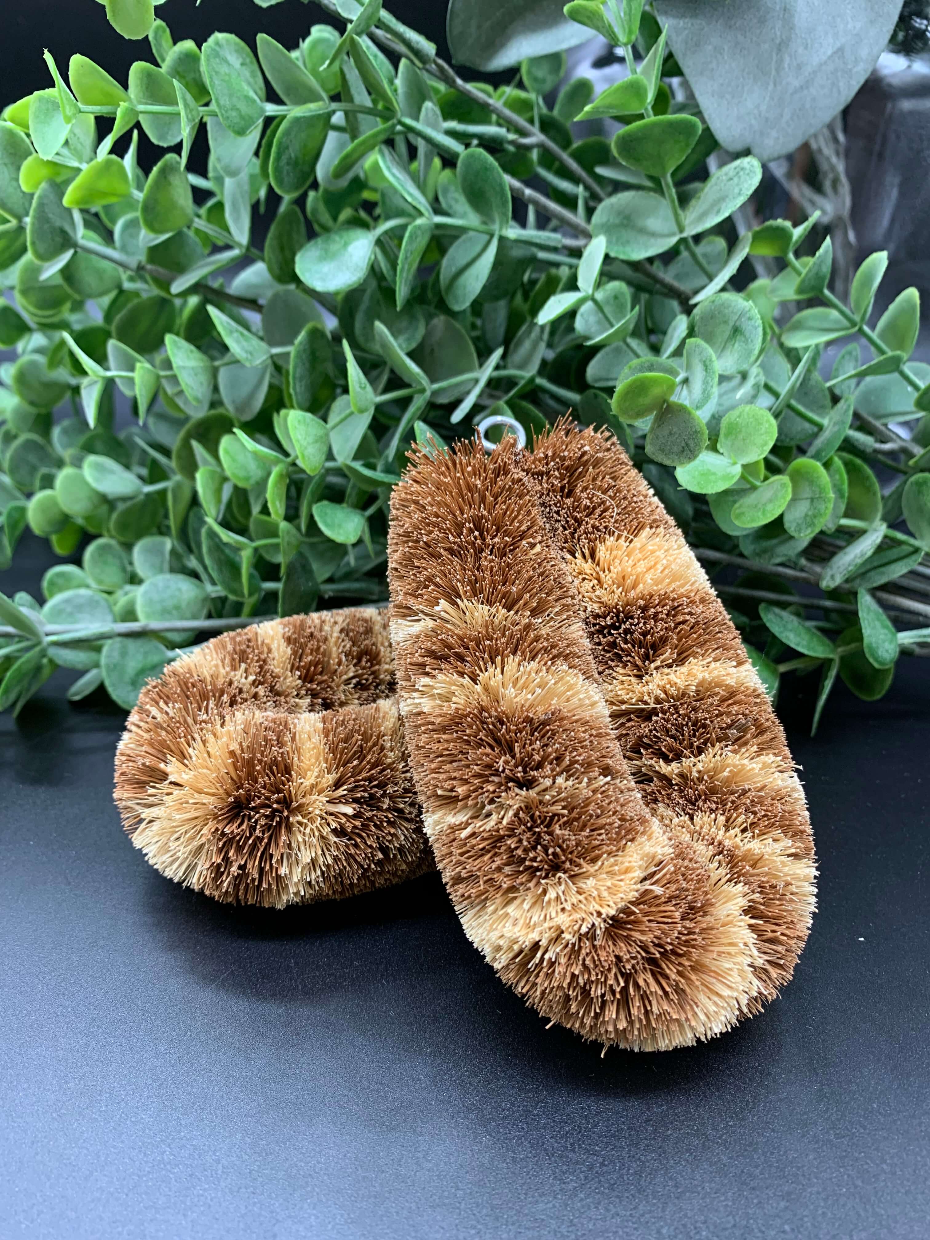 Fair Trade Kitchen Brush Range