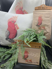 Galah Australian Range