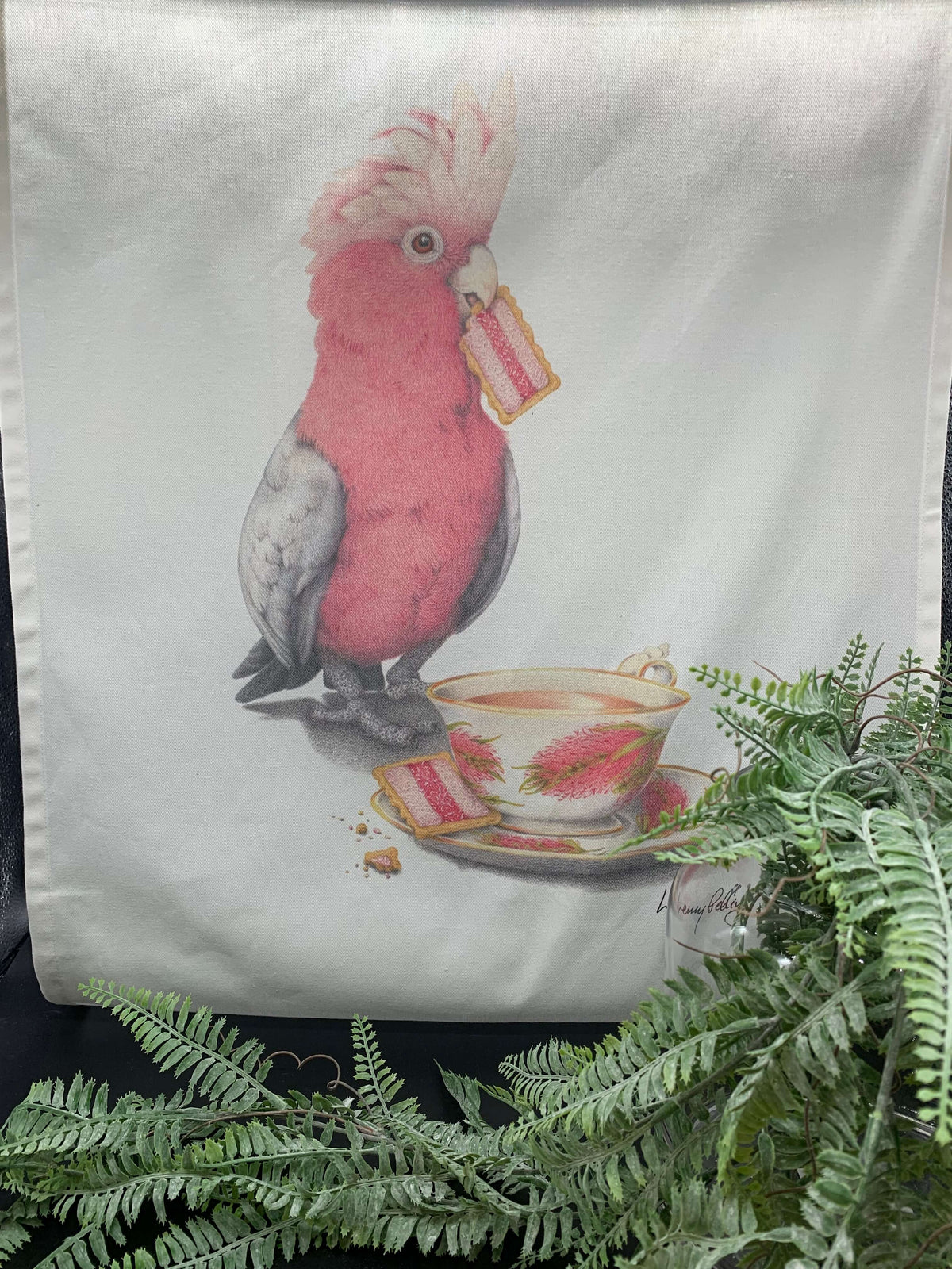 Galah Australian Range