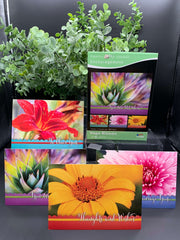 Encouragement Boxed Cards