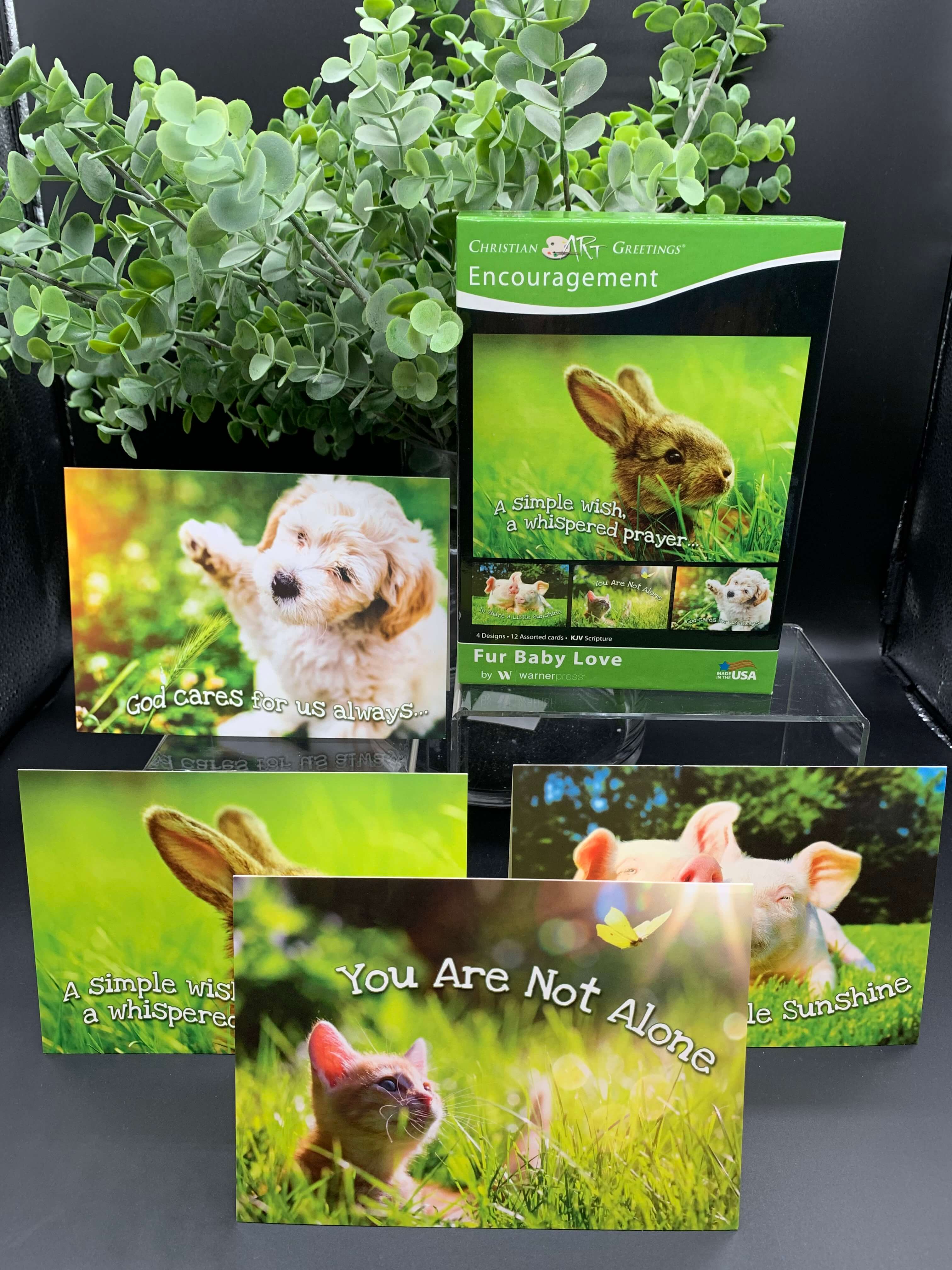 Encouragement Boxed Cards