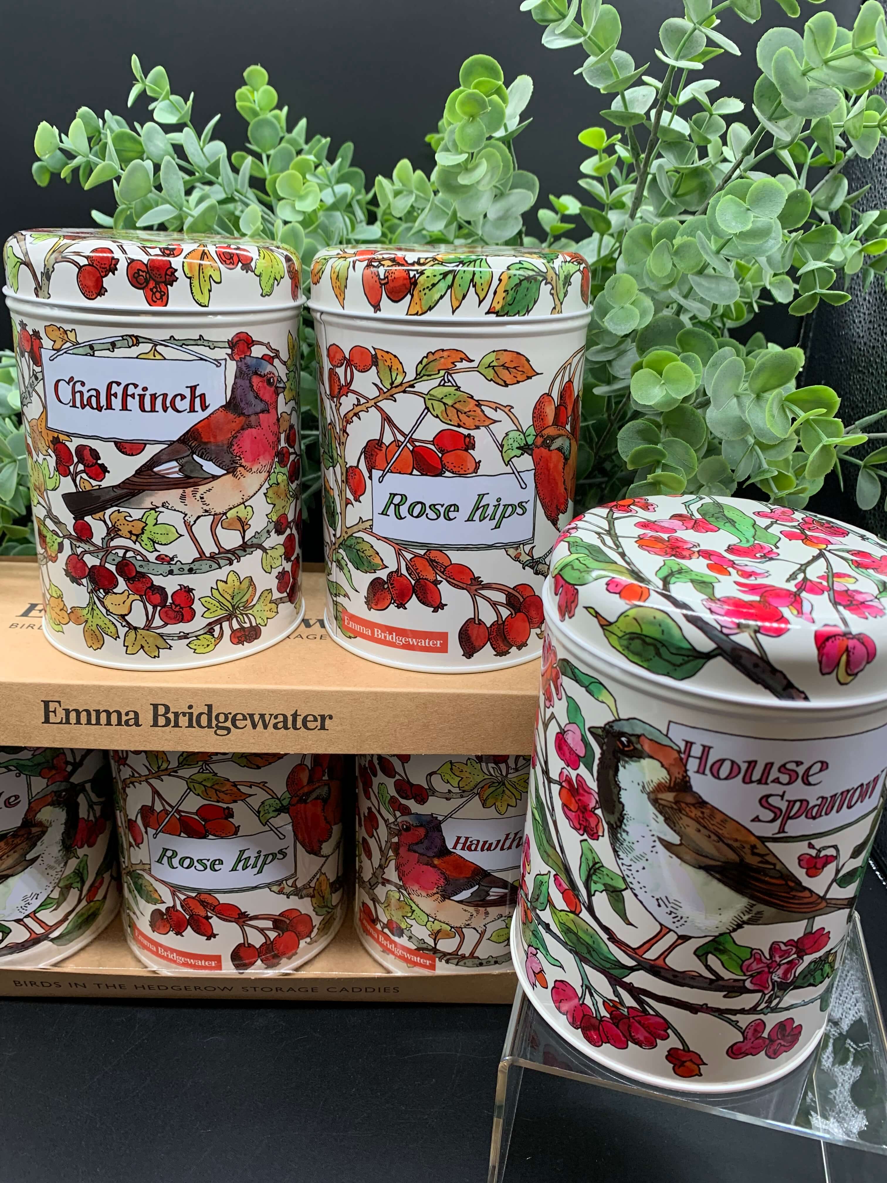 Tin Bird Canisters