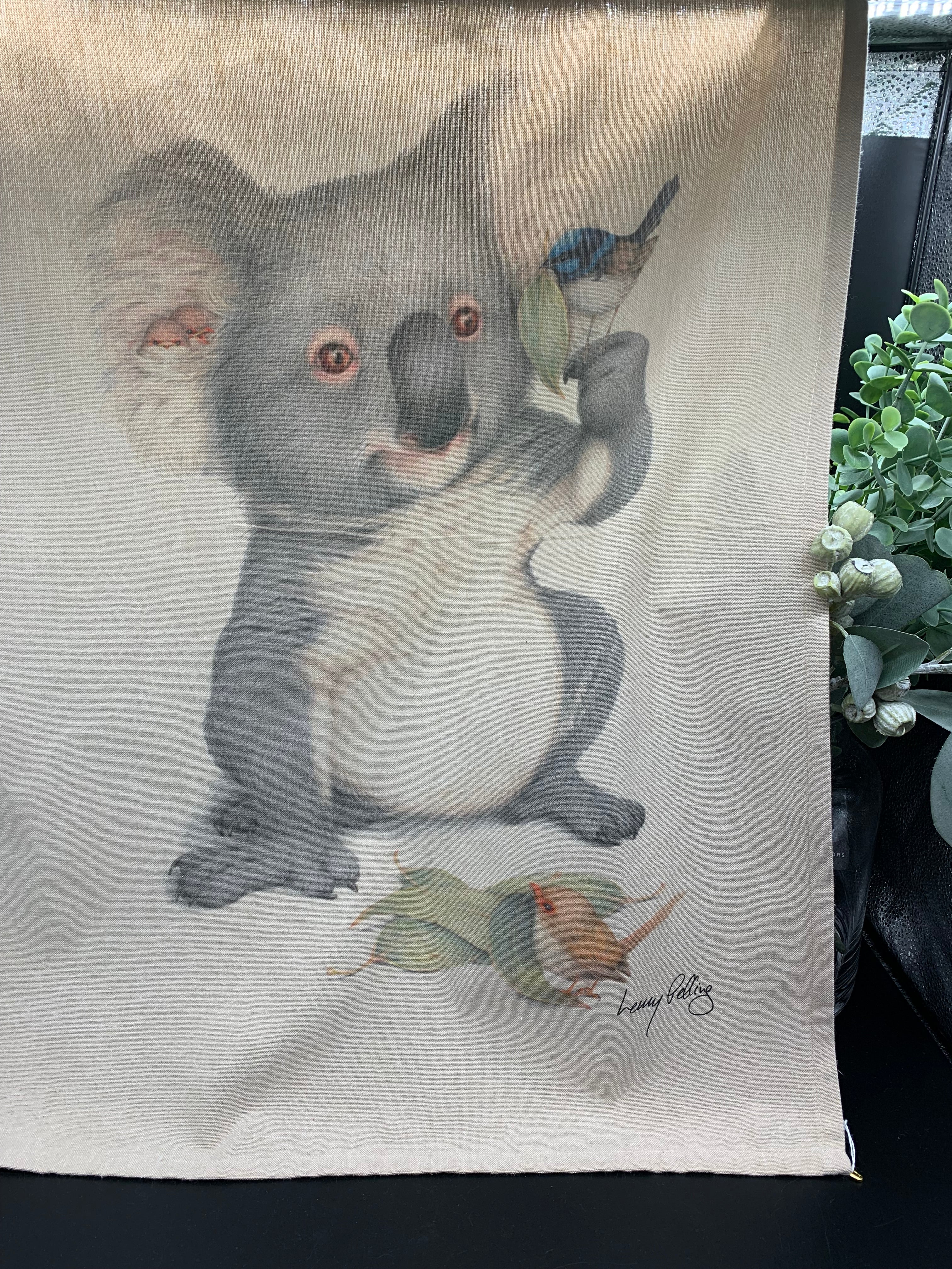 Koala & Blue Wren Range