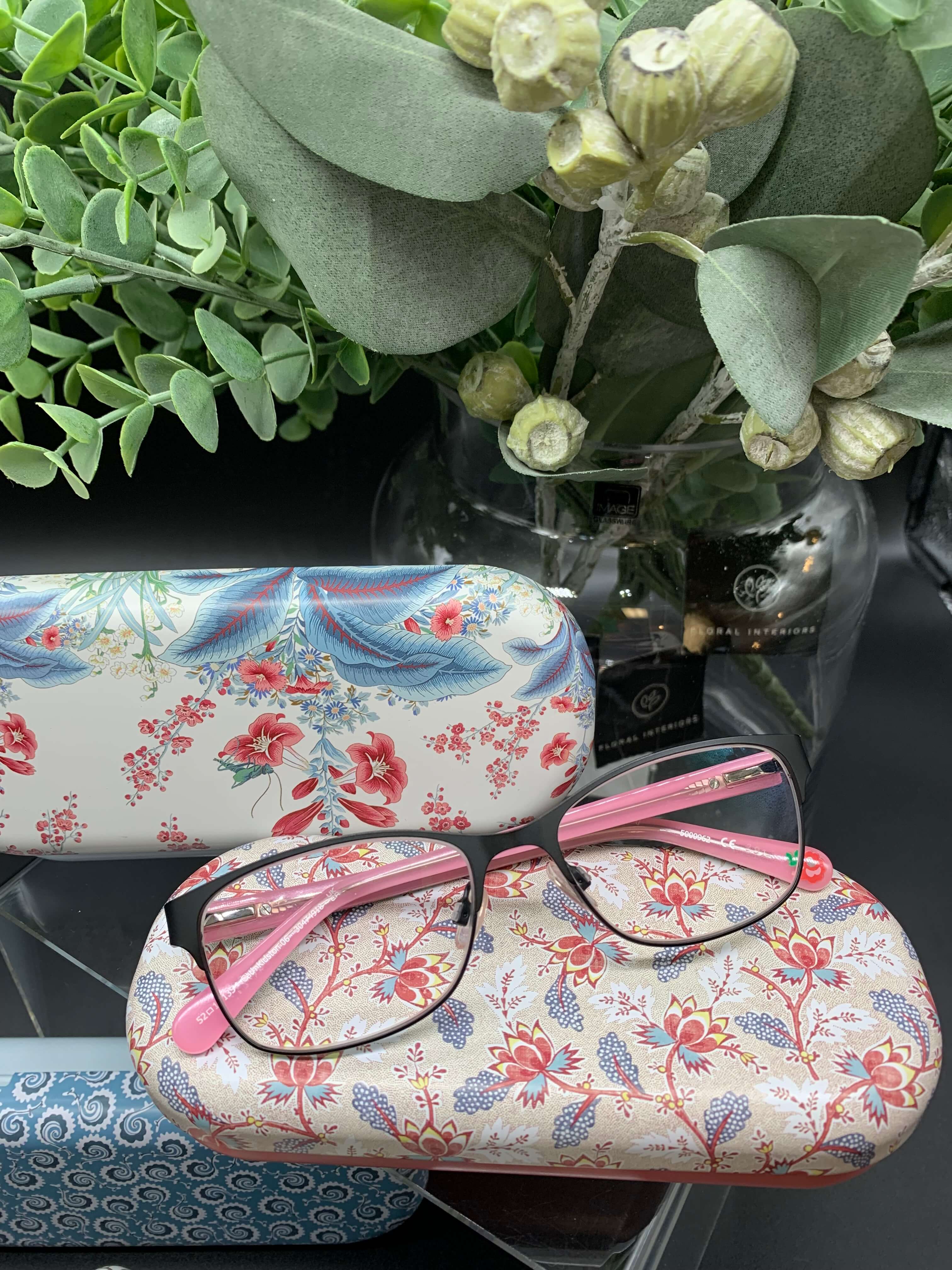 Glasses Case